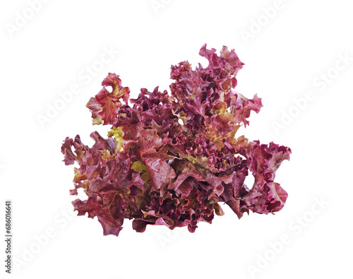 red lettuce transparent png
