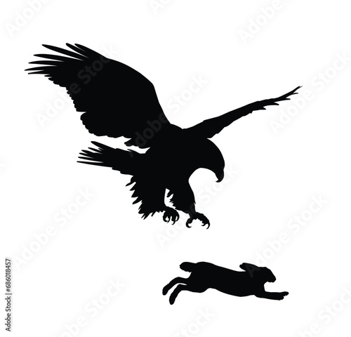 The silhouettes of a hare and flying eagle.