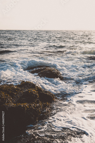 Wallpaper Mural Coastal landscape from Lime Kiln State Park on San Juan Island in Northwest Washington Torontodigital.ca