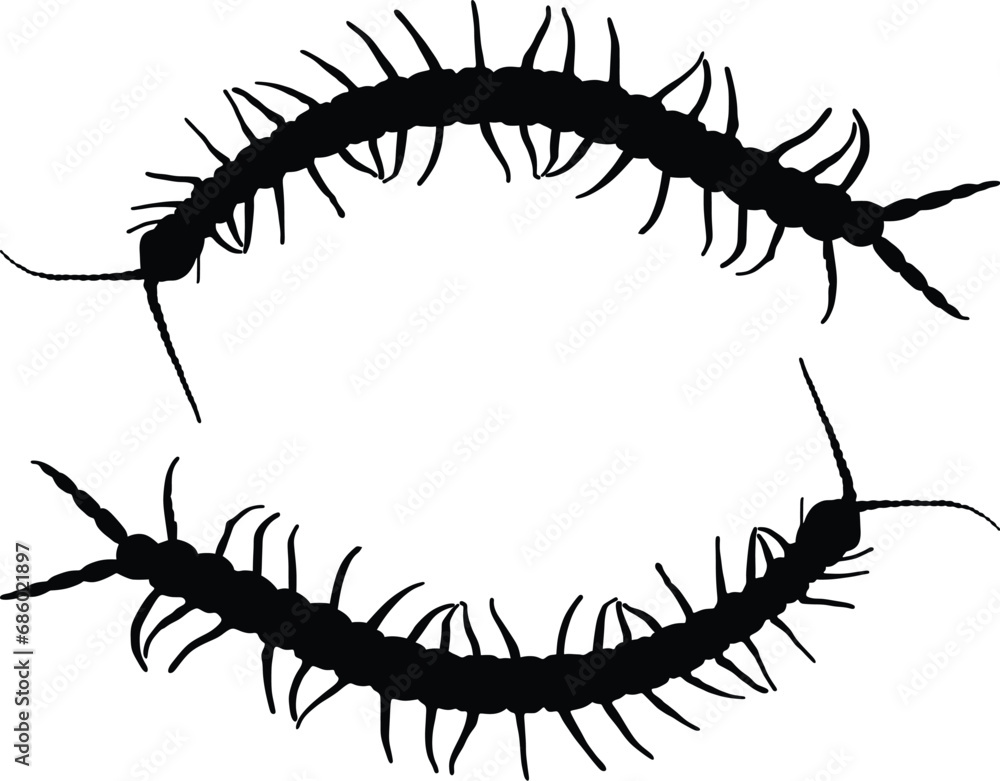 Obraz premium DARK CENTIPIE