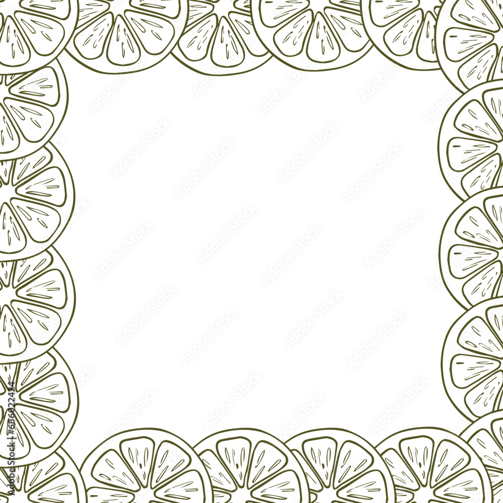 A border of lemon slices. A composition of citrus fruits in a graphic style. Vector illustration isolated on a white background.