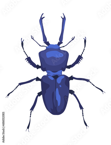 Male European stag beetle. Lucanus cervus insect vector icon