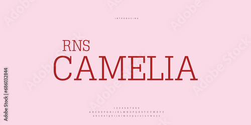 Hand drawn elegant alphabet letters font and number. Classic Lettering Minimal Fashion Designs. Typography modern Sen serif fonts regular decorative vintage concept. vector illustration