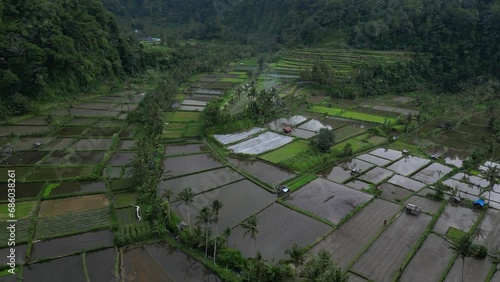 Wallpaper Mural Rice fields filled with patches of water on an overcast afternoon in Bali, aerial. Torontodigital.ca