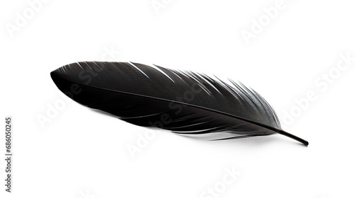 Black feather. Isolated on Transparent background.