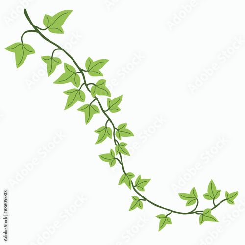 Floral ivy drawing decorative ornament flat design.