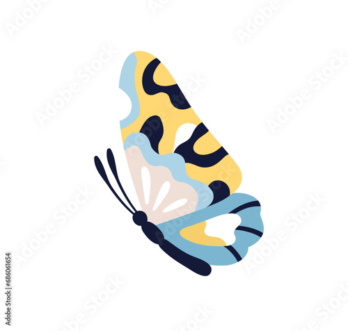 Photography Exotic butterfly flying