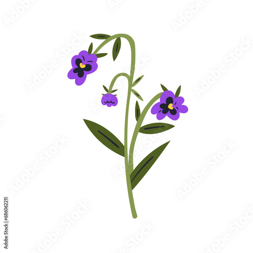 Wild pansy, field flower. Heartsease, meadow floral plant. Gentle wildflower branch. Viola tricolor, fragile blooms. Beautiful hearts ease. Flat vector illustration isolated on white background