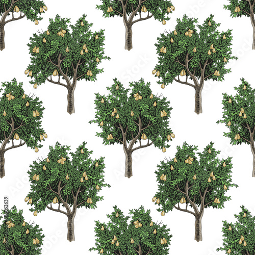 Seamless pattern with pear trees