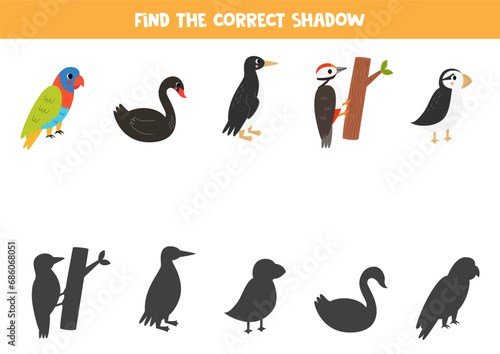Find shadows of cute cartoon birds. Educational logical game for kids.