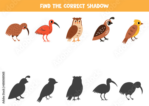 Find shadows of cute cartoon birds. Educational logical game for kids.