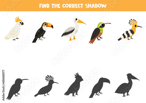 Find shadows of cute cartoon birds. Educational logical game for kids.