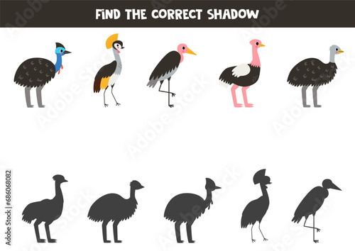 Find shadows of cute cartoon birds. Educational logical game for kids.