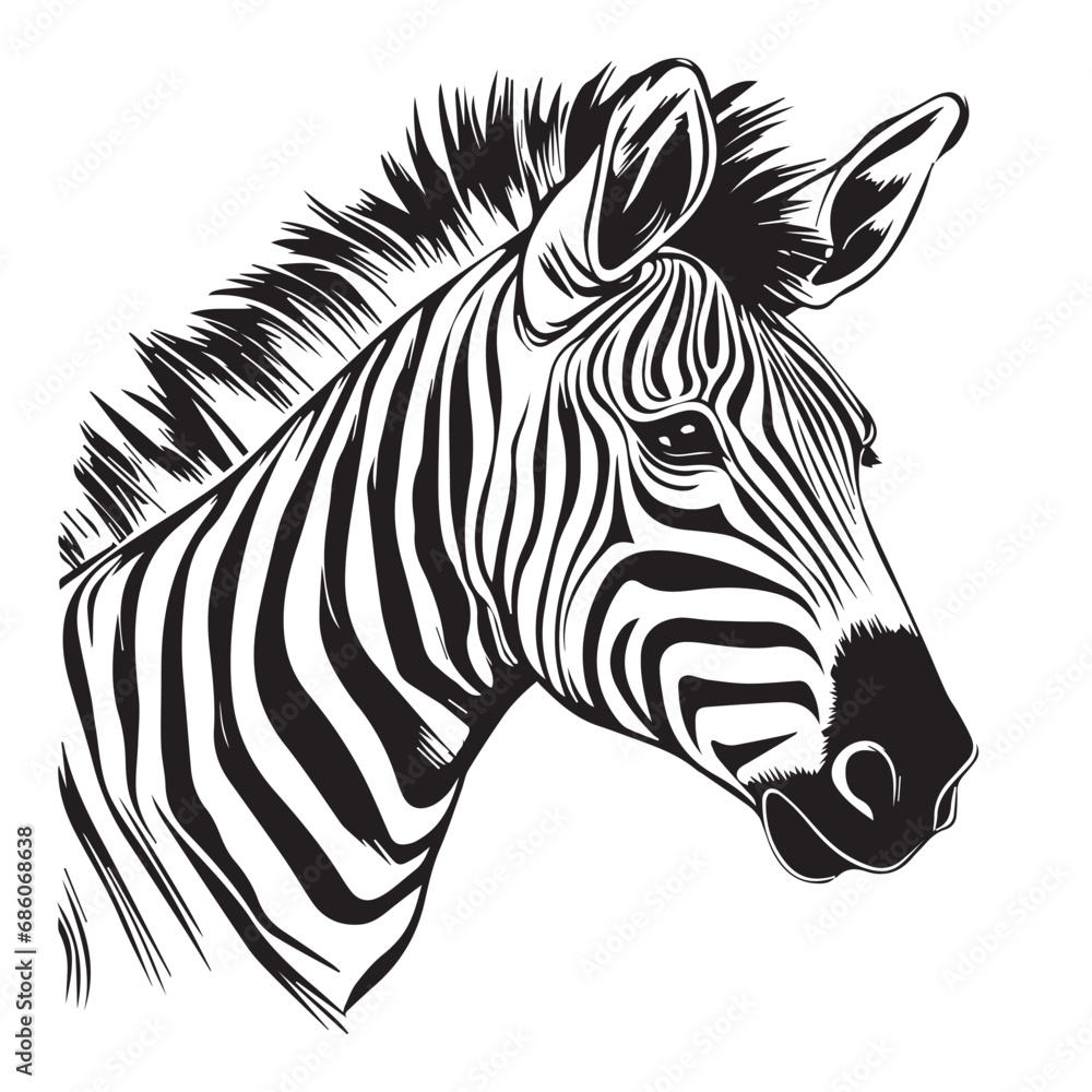 Zebra in cartoon, doodle style. Isolated 2d vector illustration in logo, icon style, Eps 10, black and white. AI Generative Zebra in cartoon, doodle style. Isolated 2d vector illustration in logo, icon style, Eps 10, black and white. AI Generative