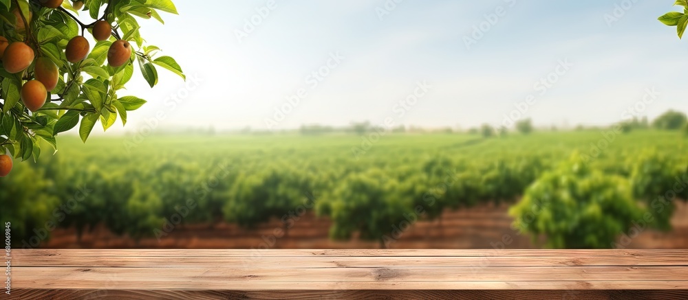 Empty wooden table with blurred trees in the background serving as a display for your products Copy space image Place for adding text or design Empty wooden table with blurred trees in the background serving as a display for your products Copy space image Place for adding text or design