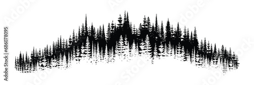 Coniferous forest, natural border, isolated on white background	