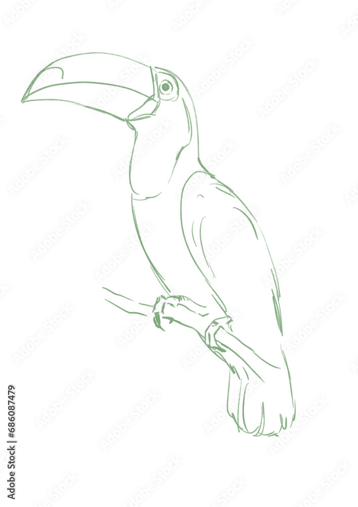 Line art tropical bird. Toucan bird