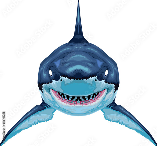 Shark, vector isolated animal.
