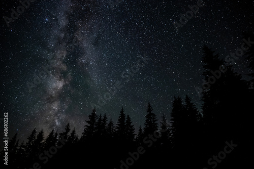 Milky Way Galaxy over the forest photo