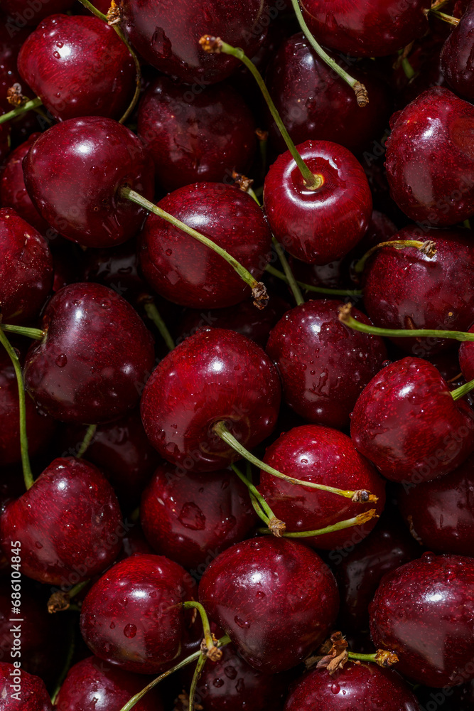 Cherry background.Close up of a bunch of bright red cherries shot from above. Cherry with drops. Food background. Cherry background.Close up of a bunch of bright red cherries shot from above. Cherry with drops. Food background.