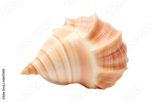 Chic Elegance: The Epitome of Sophistication in Conch-inspired Design Isolated on a Transparent Background © Cool Free Games