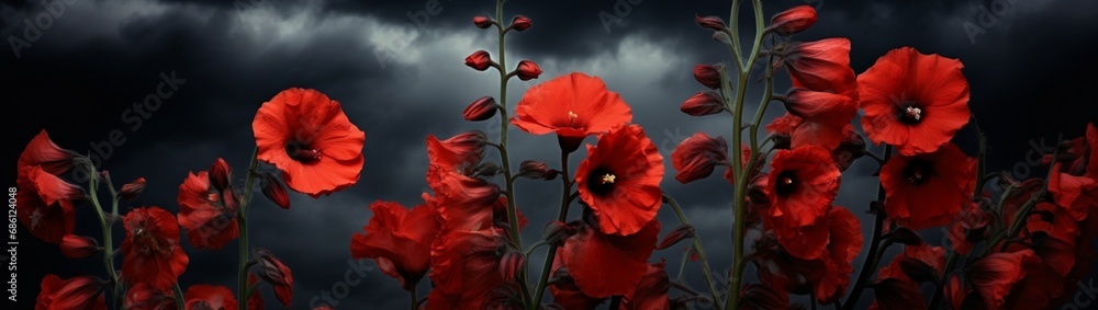 Obraz premium The striking silhouette of black hollyhocks against a stormy sky, their dark blooms a rare and gothic beauty.