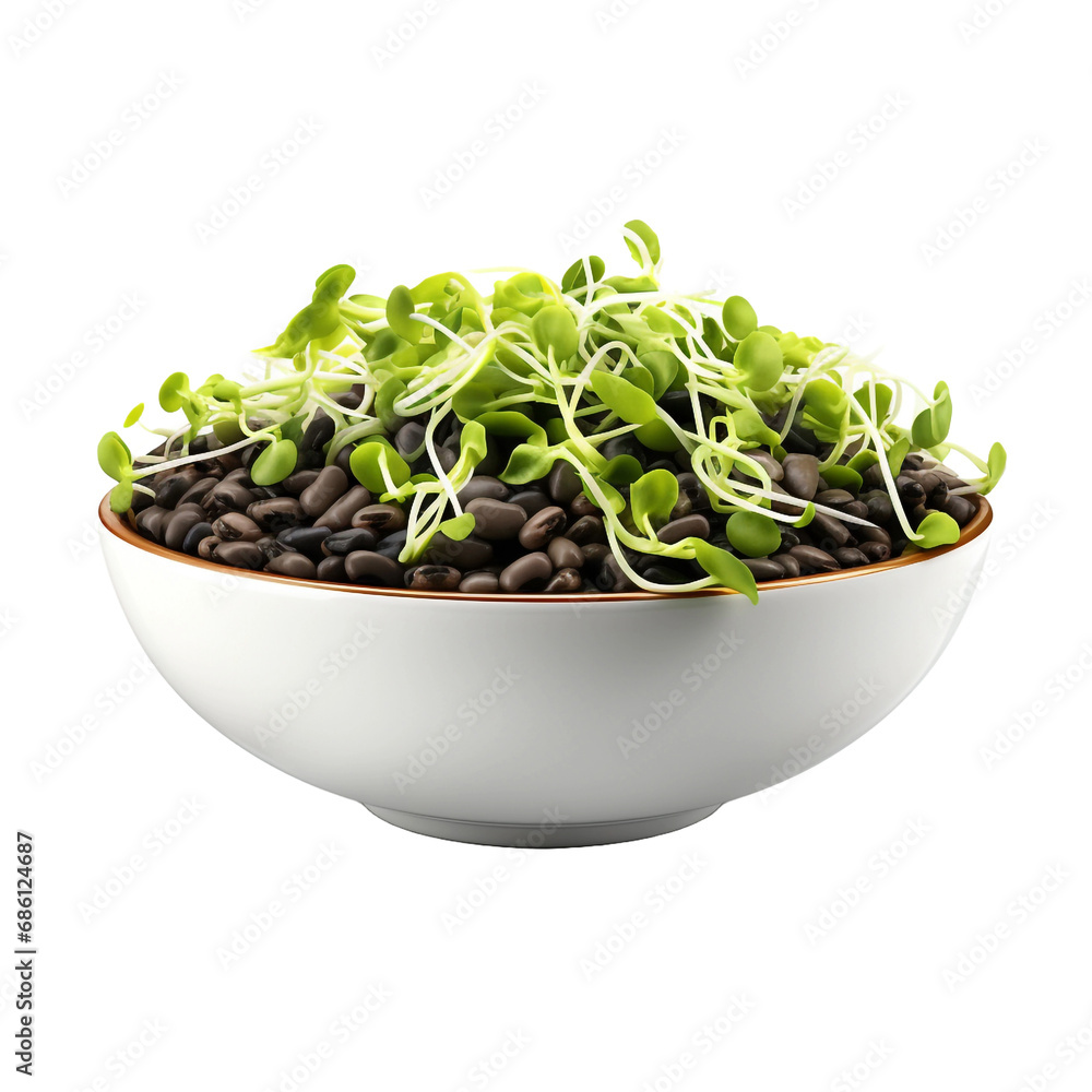 Fresh black beans isolated on transparent background Fresh black beans isolated on transparent background