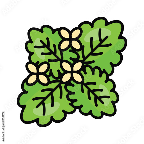Creatively crafted vector of melissa, healthy food, herbal or green tea ingredients