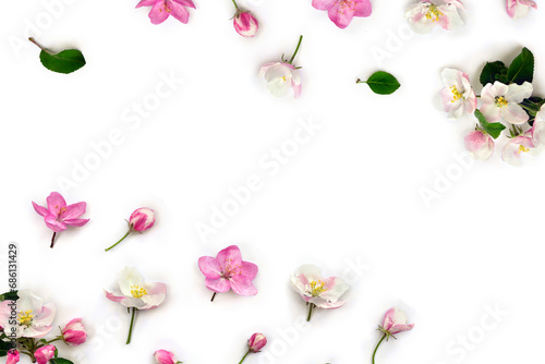 Flowers apple tree, pink and white blossom on a white background with space for text. Top view, flat lay