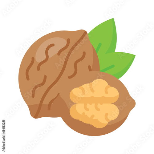 Healthy organic food, whole and peeled walnut vector design