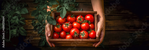 Male hands holding tomatoes in wooden box over the wooden table photo