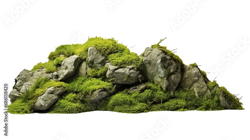 Green Moss Meadow on a rock. Side view. Isolated on Transparent background. 