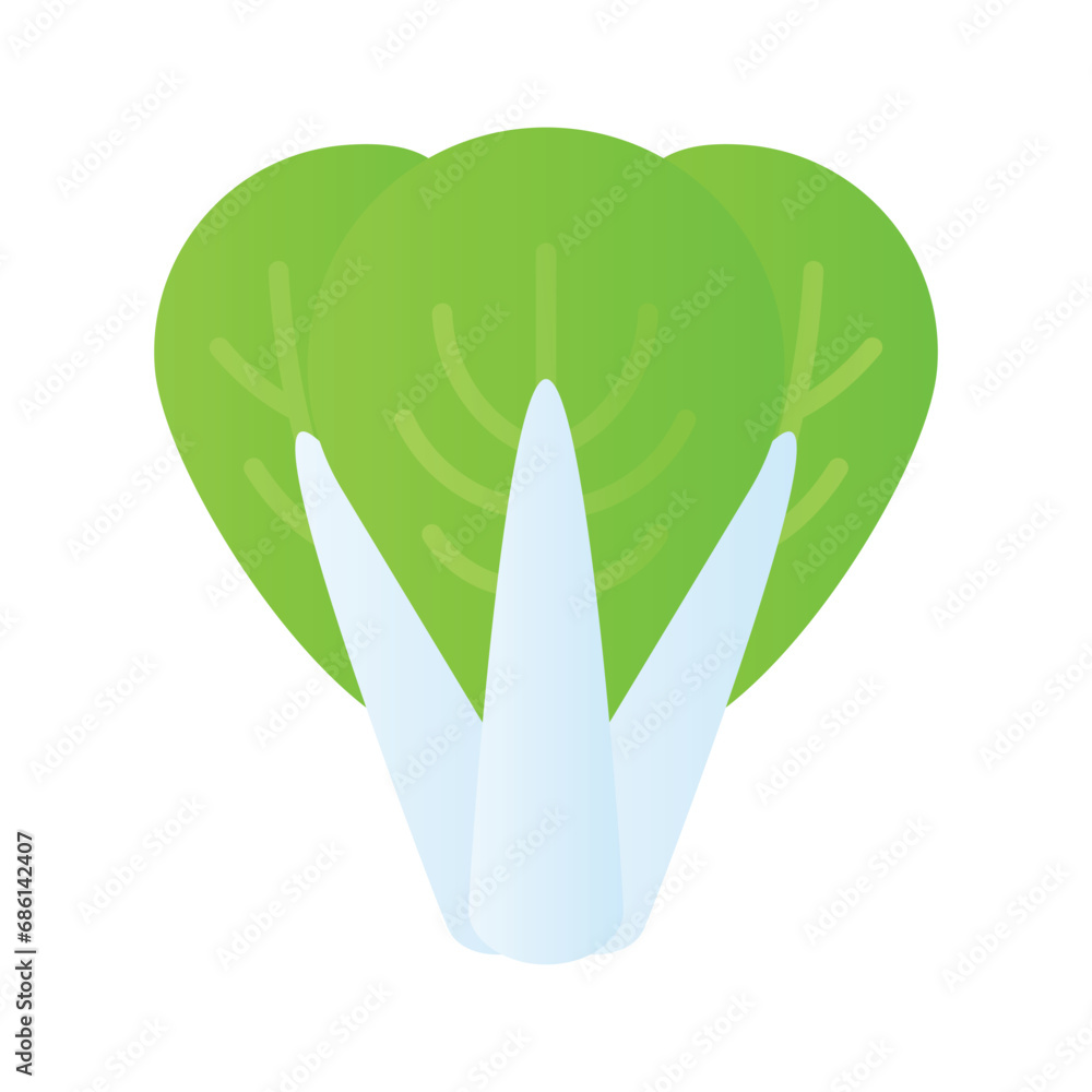 Beautifully designed Bok Choy vector in modern style, ready to use icon Beautifully designed Bok Choy vector in modern style, ready to use icon