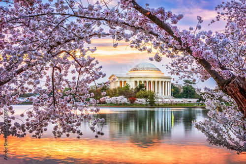 Washington DC in Spring Season photo