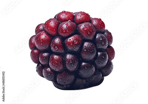Bountiful Berries: Nature's Colorful Delights on a Transparent Background