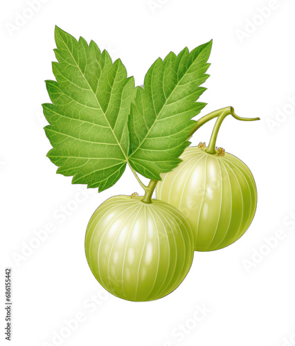 Bountiful Berries: Nature's Colorful Delights on a Transparent Background