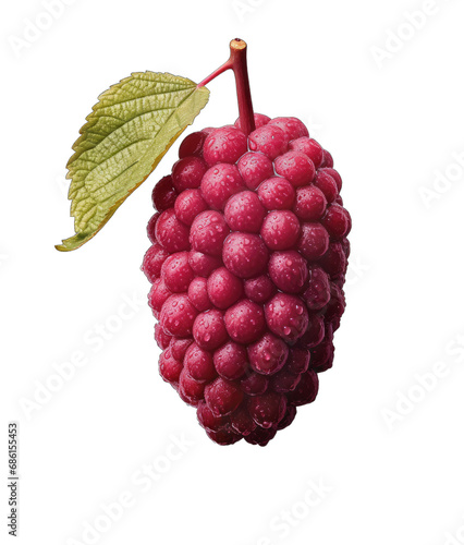 Bountiful Berries: Nature's Colorful Delights on a Transparent Background