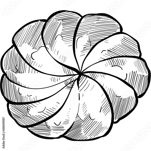 biscuit handdrawn illustration