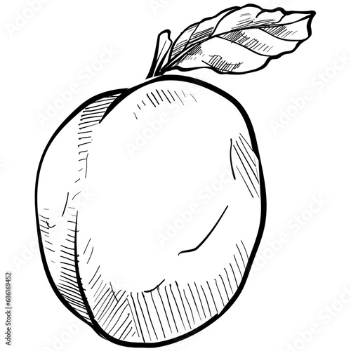 peaches handdrawn illustration