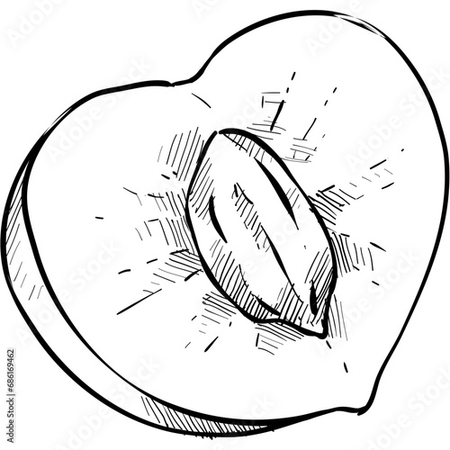 peaches handdrawn illustration