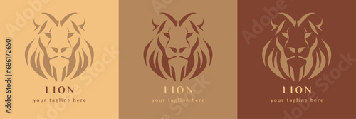 Lion logo vector