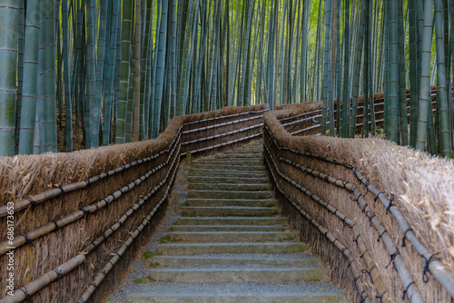 A Bamboo Grove at Adashino Nenbutsuji Temple in Kyoto, Japan