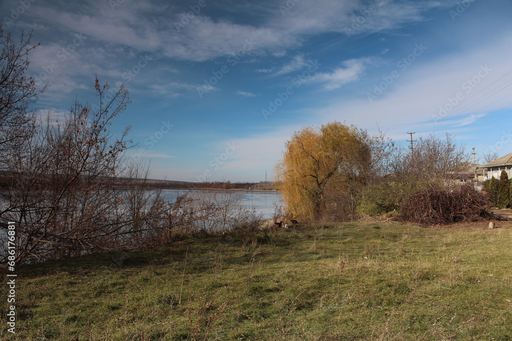 A grassy area with trees and a body of water in the distance