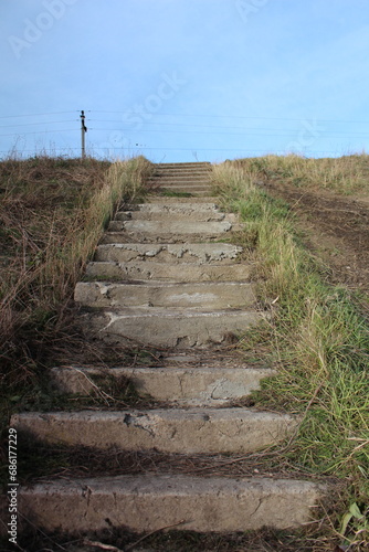 A stone path with grass and dirt on the side