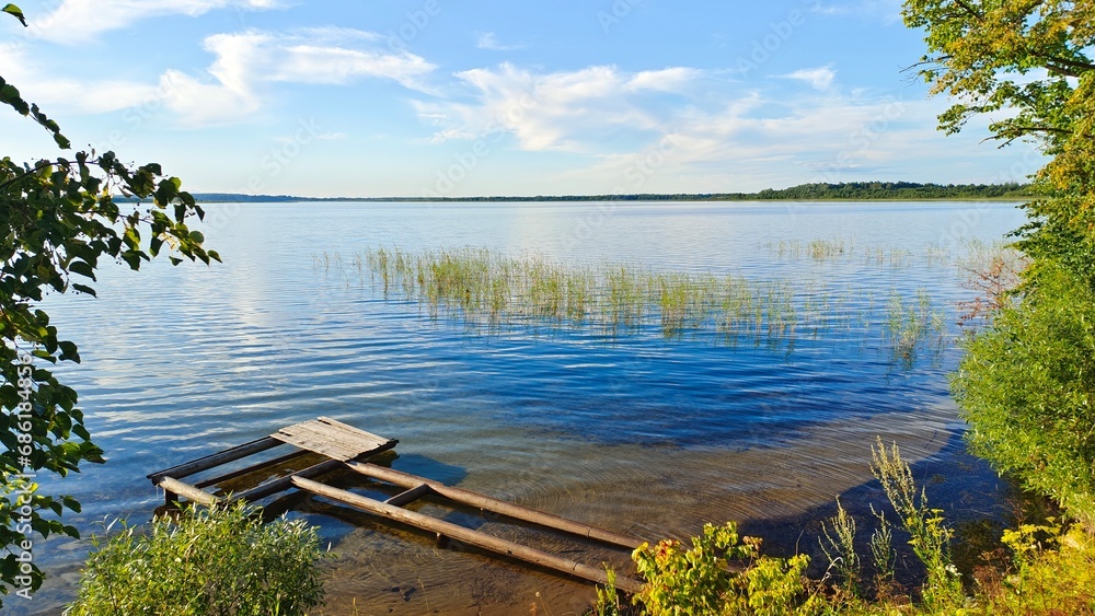 Naklejka premium On the shore of the lake there are alder and willow trees. On the far shore there is a forest. There are reeds in the water. Near the shore is a metal pier with a collapsed wooden deck. Sunny