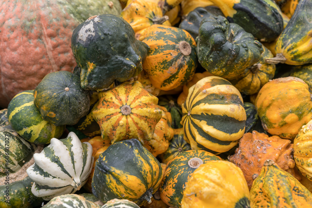 variety of colorful pumpkins in heap at street market, Stuttgart, Germany
