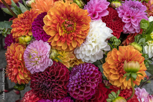 bunch of colorful dahlia flowers at street market  Stuttgart  Germany