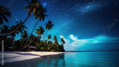 Idyllic tropical beach, clear night