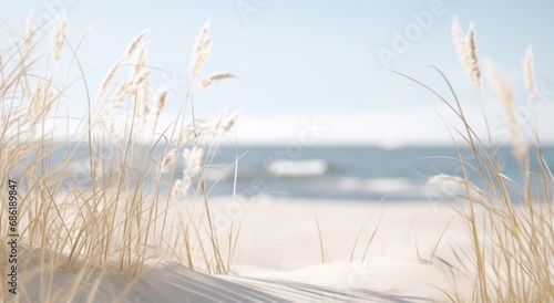 close up of a beach near some grass and sand
