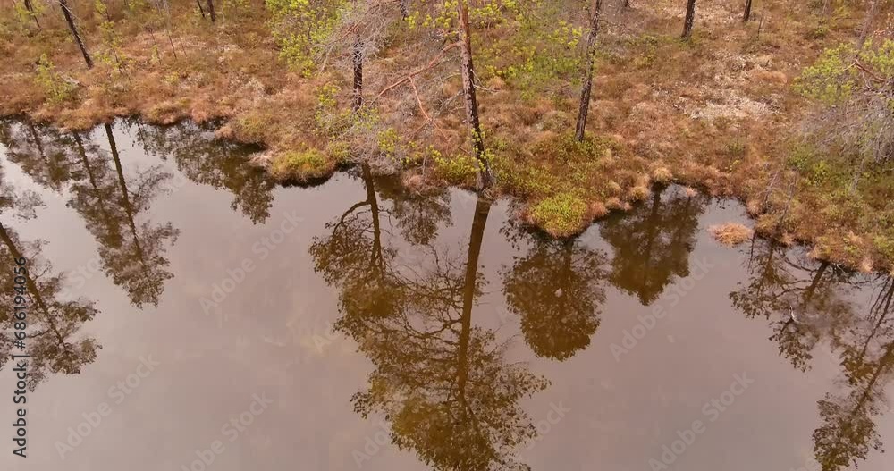 Aerial landscape view of lake surface trees reflecting on water surface in forest in cloudy spring weather. Aerial landscape view of lake surface trees reflecting on water surface in forest in cloudy spring weather.
